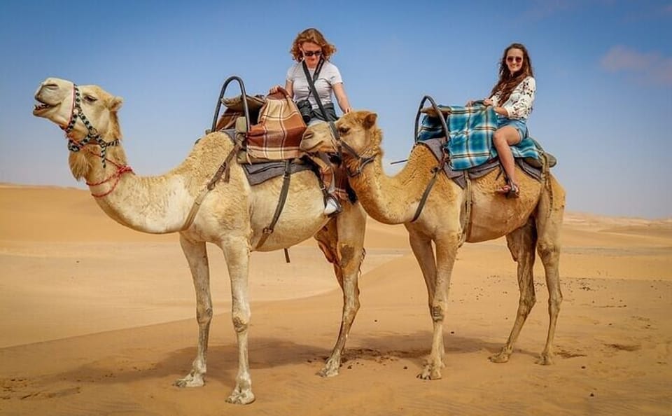 Camel Riding Adventure in Hurghada's Desert Landscapes