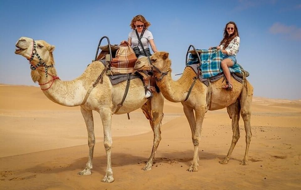 Camel Riding Adventure in Hurghada's Desert Landscapes