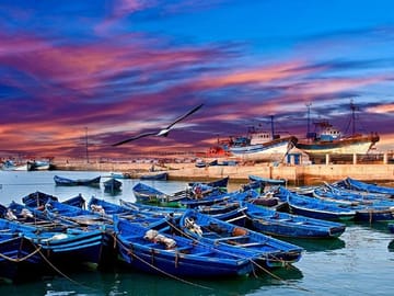 Private Day Trip to Essaouira from Marrakech with Transport