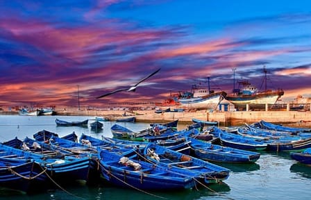 Essaouira Private Day Trip from Marrakech