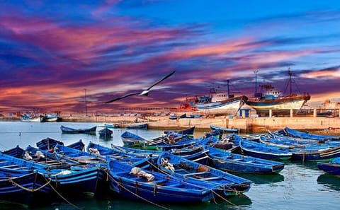 Private Day Trip to Essaouira from Marrakech with Transport