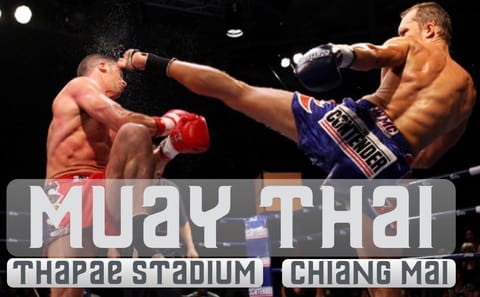 Muay Thai Experience at Thapae Boxing Stadium in Chiang Mai