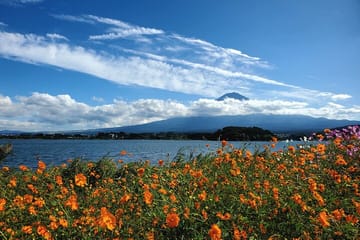 Yokohama Port to Mt. Fuji English Guided Private Tour