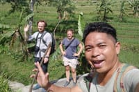 Rice Terraces