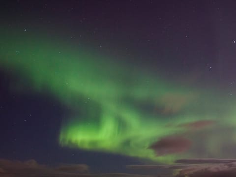 Aurora seen from Reykjavik
