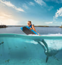 Dolphin Swim Adventure at Montego Bay  2