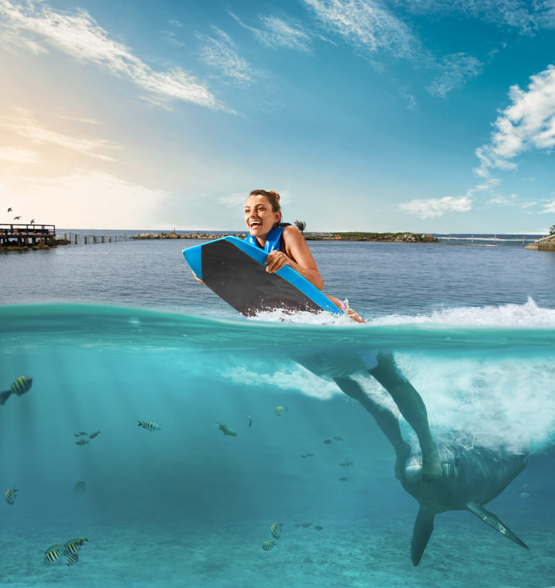 Dolphin Swim Adventure at Montego Bay  2