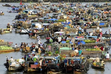 Mekong Delta Real Life in 2 Days