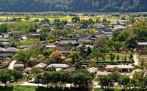 Private Cultural Tour of Andong Hahoe Folk Village