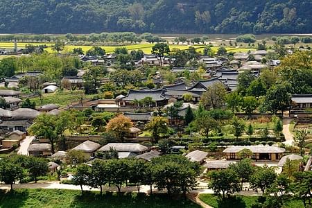 Customized Private Tour of Andong Hahoe Folk Village: Discover Scenic Wonders and Local Delicacies