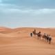 Desert Delights: 4-Day From Fes to Merzouga and Marrakech