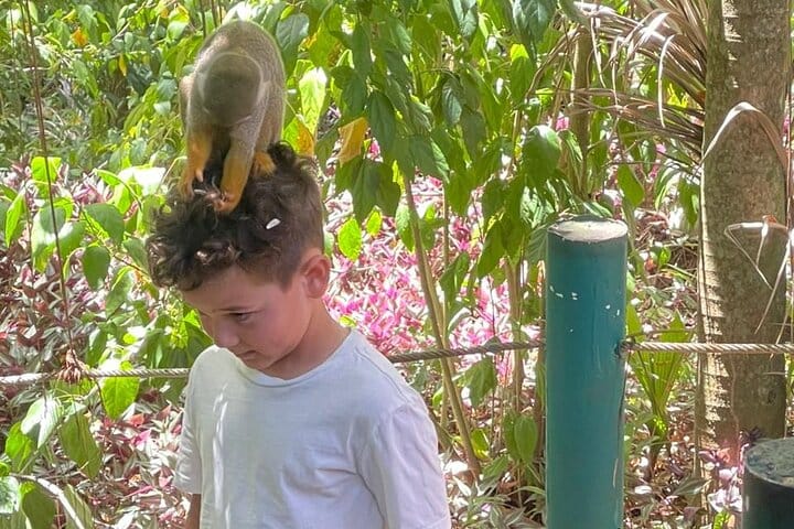 Monkey tour from Amber cove Y Taino bay Puerto Plata