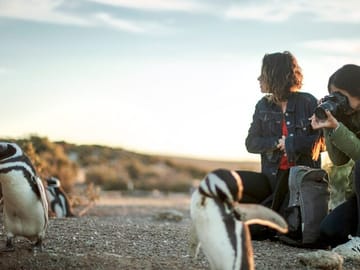 Penguin Watching Tour at Estancia San Lorenzo, Puerto Madryn