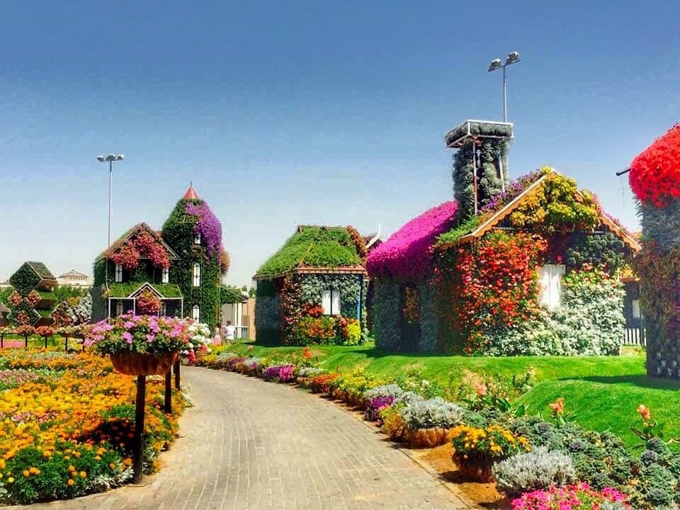 Dubai : Miracle Garden, The World’s Largest Flower Paradise