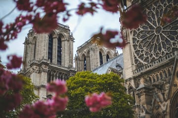 Professional Photoshoot at Notre-Dame in Paris