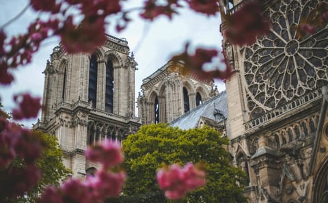 Professional Photoshoot at Notre-Dame in Paris