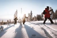 Ski Trekking Adventure in Rovaniemi