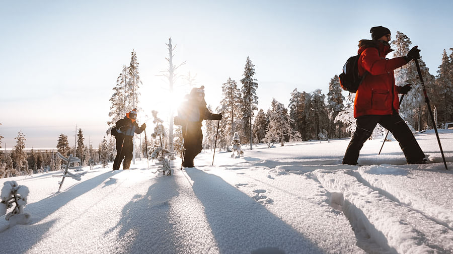 Ski Trekking Adventure in Rovaniemi