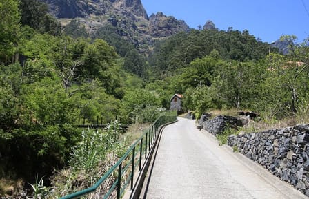 Scenic Cabriolet Tour of Madeira: Camara De Lobos & More