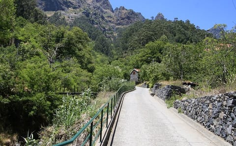 Scenic Cabriolet Tour of Madeira: Camara De Lobos & More