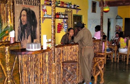 Private Bob Marley Tour of Nine Mile and Kingston from Lucea