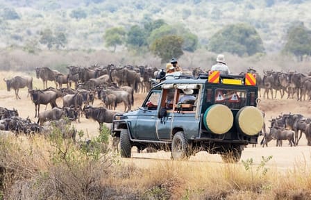 6-Day Amboseli, Nakuru, and Maasai Mara Safari on 4×4 Landcruiser
