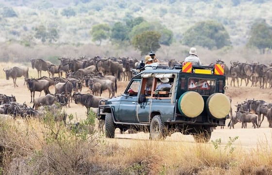 6-Day Amboseli, Nakuru, and Maasai Mara Safari on 4×4 Landcruiser
