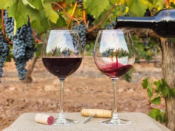 7-Day Culinary and Wine Tour in Casablanca and Mendoza