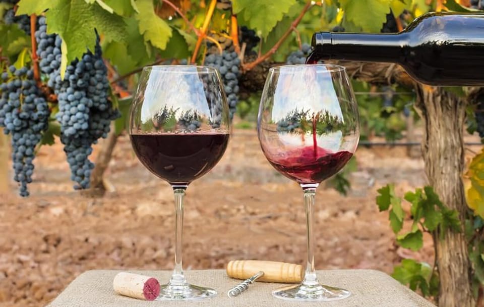 7-Day Culinary and Wine Tour in Casablanca and Mendoza