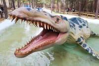 Perfect for Children! Jurassic Park Private Tour 7