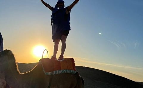 Camel Ride and Sunset Experience in Agafay Desert from Marrakech