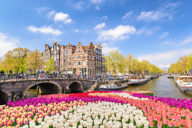 France, Belgium and Netherlands Tour 7