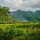 Mai Chau Pu Luong Ninh Binh 4D3N from Hanoi (Overnight each area)