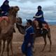 Agafay Desert activities, Quad Bike, Camel Ride and Dinner Show