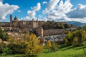 2 hours private Walking Tour of Urbino, Capital of Le Marche Renaissance