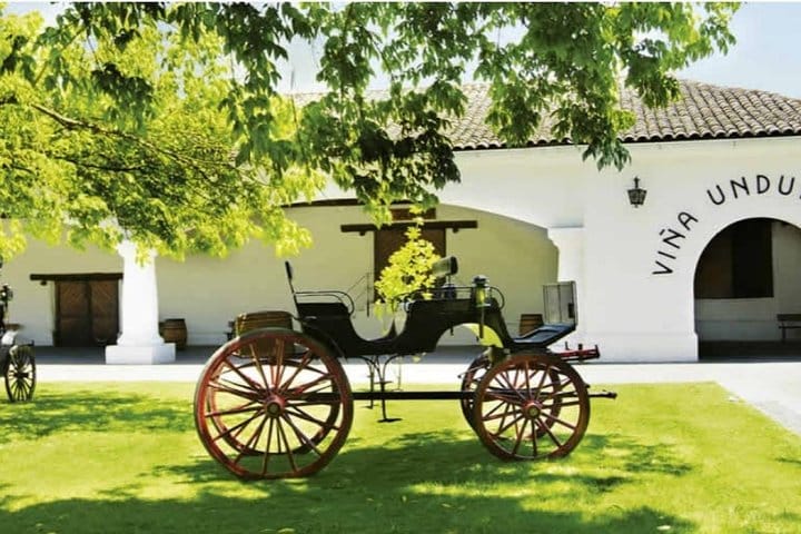 Half Day Trip to Undurraga Vineyard from Santiago - Wine Tasting Included