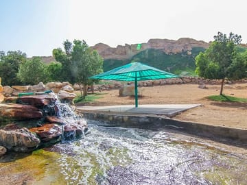 Al Ain Oasis