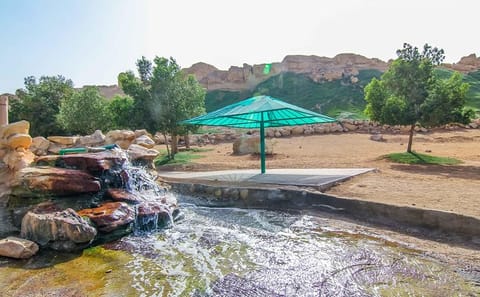 Al Ain City Cultural Tour with Lunch from Dubai