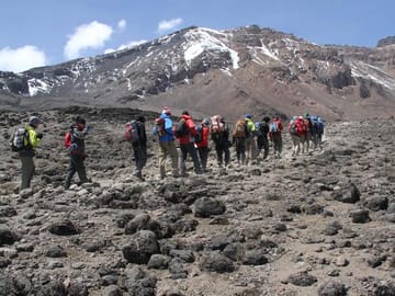 12Days Best of Kenya and Tanzania Wildlife Safari