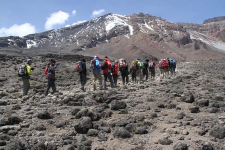 Trek Mount Kilimanjaro through Marangu Route