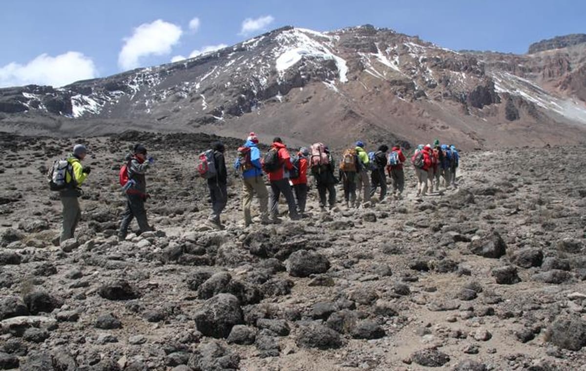 Trek Mount Kilimanjaro through Marangu Route