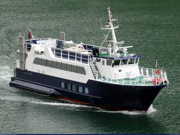 Whale Watching Adventure Tour in Reykjavík, Iceland