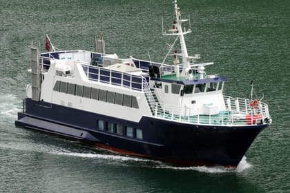 Whale & Marine Adventure Tour