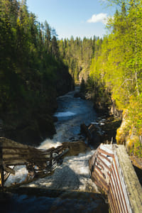 Auttiköngäs Nature Trail