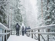 Day tour to Ranua Wildlife Park - Visit the Arctic Animals! 2
