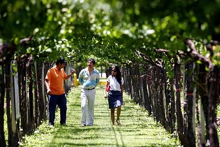 Private Wine Tasting Tour in Mendoza's Premier Vineyards