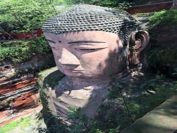 One Day Trip to Chengdu Panda Base and Leshan Buddha Tour