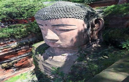 Chengdu Panda Base and Leshan Buddha Day Tour