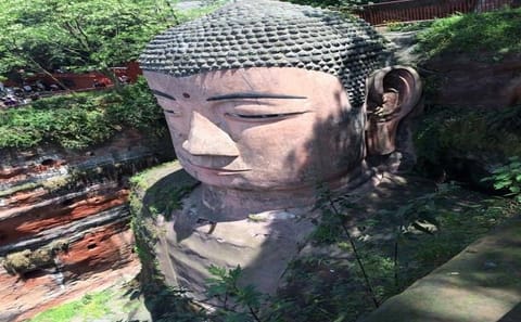 Chengdu Panda Base and Leshan Buddha Day Tour