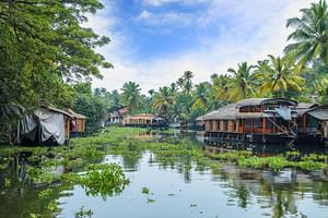 Discovering Kerala's Treasures: Tea Gardens, Backwaters & Seaside Serenity